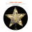 1Pc Silver Xmas Tree Star Ornament String Decoration 5