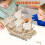 Conjunto De -Cabeça 3D De Kit Montagem 11