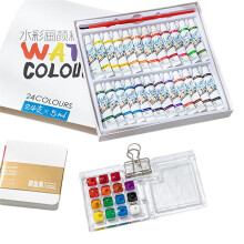 Travel Ready Paint Palette Bundle, Travel Paint Palette Acrylic, Paint Palette with Binder Clips,D
