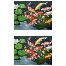 2X 5D DIY Art Diamond Painting Round Full Diamond Koi Stitch Kits Embroidery Home Decors