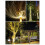 Outdoor Solar 50 LED String Lights 8 Modes on 16.4ft Flexible Copper Wire 9
