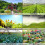 Intelligent Irrigation Time, Sprinkler Controller With Waterproof Function For Reliable Outdoor Irrigation 8