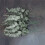 18 Pieces of Eucalyptus Stems Artificial Eucalyptus Leaf Stems True Gray Green Touch Leaf Branches 4