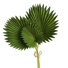 3 St Konstgjorda Palmblad GäNg GröN Plast Falska VäXter Simuleringsblad Blomsterarrangemang Heminredning