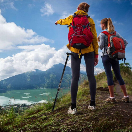 4X Aluminium Alloy Ultralight Walking Stick Adjustable Walking Cane for Elderly 2
