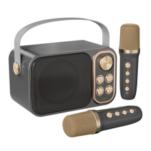 Portable Karaoke Machine with RGB LED Lights Wireless Microphones HIFI Stereo Surround Voice Effects for Parties