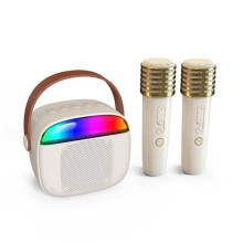 Machine de Karaoké Portable pour Adultes et Enfants avec 2 Microphones  Sans Fil, Fêtes avec Poignée de Transport, Prise en Charge AUX
