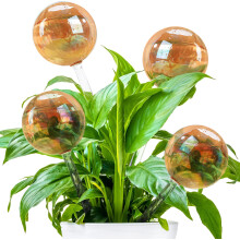 Unleash The Magic Of Gardening Gifts For Your Loved Ones