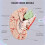 2X Human Brain,Life Size Human Brain Anatomy Model with Display Base, for Science Classroom Study & Teaching Display B 4
