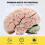 2X Human Brain,Life Size Human Brain Anatomy Model with Display Base, for Science Classroom Study & Teaching Display B 6