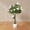 Outsunny Outsunny 90cm Artificial Rose Tree, Fake Decorative Plant, White 3