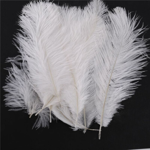 200 Pieces White Natural Ostrich Feather 20-25cm Wedding DIY 2