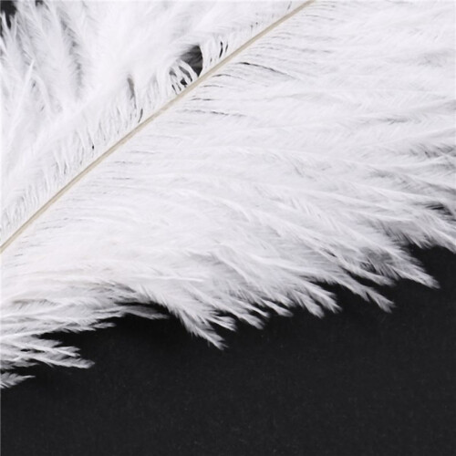 200 Pieces White Natural Ostrich Feather 20-25cm Wedding DIY 1