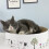 Ξυστήρι γάτας, Σώστε τα έπιπλά σας σε σχήμα οβάλ μπολ, Ανακυκλωμένο χαρτόνι για 3