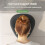 Memory Foam Breathable -Pillow Ergonomics Lying Down Pillow Rest Support Pillow Body Massage Face Rest Pillow B 5