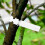 1200 Pcs Plastic Plant Labels Wrap Around Tree Tags, Adjustable Nursery Garden Labels with Large Writing Surface, White 4