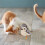 Interactive Cat Toy Touch Activated Simulation Chirping Bird with Sound and Automatic Cat Exercise Toys for Indoor 6