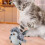 Interactive Cat Toy Touch Activated Simulation Chirping Bird with Sound and Automatic Cat Exercise Toys for Indoor 3