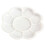 15Pcs Plastic Nail Art Paint Color Mixing Palette Plate Disk Essential Tool 3