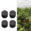 80 Pcs Garden Clone Collars Neoprene Inserts Sponge Block para 2 Polegada Net Pots Hydroponics Systems e Cloning Machines 6