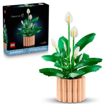 LEGO Botanicals 11504 I Fiori della Luna - Set di Piante Artificiali per Adulti - Decorazione