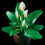 LEGO LEGO Botanicals 11504 Peace Lily Age 18+ 474pcs 4