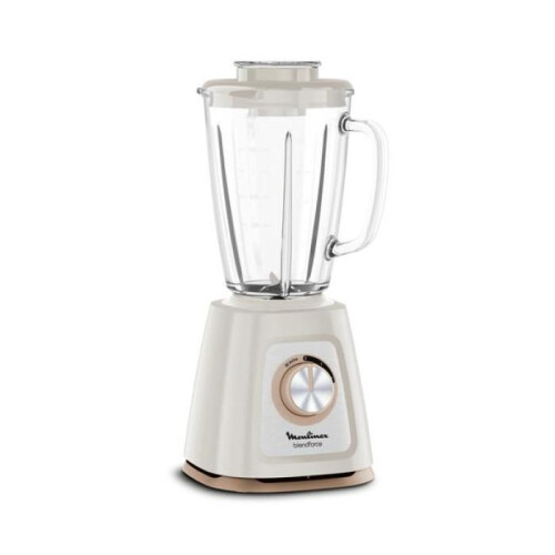 Frullatore Moulinex Blendforce LM430A10 - 800W - 2 Velocità