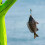 Πλωτά Δολώματα Αλιείας για Ψάρεμα σε Αλμυρό Νερό, Δονούμενο Μεταλλικό Δόλωμα Vibrato 5