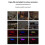 Humidifier Simulation Flame Aromatherapy Humidifier, Home Aromatherapy Diffuser with Night Light Essential Oil Diffuser 8
