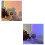 Cartoon Sunset Lamp Rainbow Light  Fill Light USB Night Light Gift 2