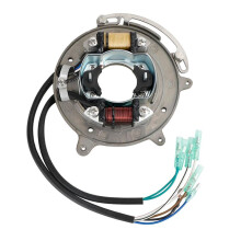 Base de Bobine D'Éclairage de Charge pour Moteur Hors-Bord pour 25 CV 30 CV 69P-85560-00