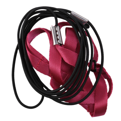 2X Pet Bird Harness and Leash,Adjustable  Bird Harness Leash - Pet Anti-Bite Training Rope 1