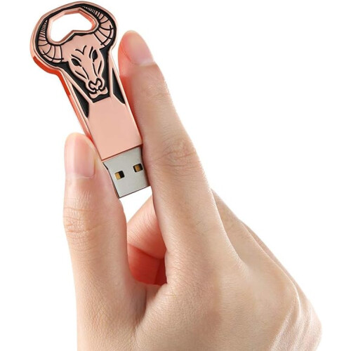 USB3.0 Υψηλή ταχύτητα μεταφοράς, κομψό στυλό, μονάδα flash 64GB, φορητή συμβατότητα 2