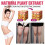 90pcs Organic Belly Patch Set for Slimming & Fat Burning, Shaping 4