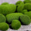 200 Pieces 2 Sizes Artificial Moss Rocks Decorative Faux Green Moss Covered Stones 2