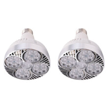 2X E27 Plant Lamp Light Bulb 35W LED Plant Grow Light Full Spectrum Warm White Light for Indoor Garden Greenhouse