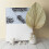 Folhas de Palmeira Secas para Decoração de Quarto 10 Peças - 18 Polegadas H X 10 Polegadas W  Decoração Natural em Folha de Palmeira para um 7