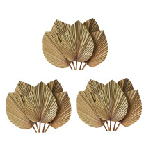 Decoración de Habitación con Hojas de Palma Secas, 15 Piezas, 18 Pulgadas de Alto x 10 Pulgadas de Ancho, Decoración  de Hoja de Palma Natural