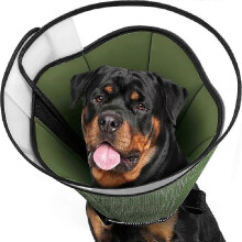 Hundehalskragen gegen Lecken zur Wundheilung – Medizinischer Schutzkragen für große und mittelgroße Hunde (XXL)