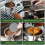 Filterholder 51 mm til Dedica EC680/EC685 kaffemaskine, bundløs filterholder med filterkurve 6