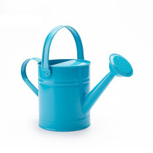Charming Watering Can for Your Garden Oasis, 1 Gallon Capacity Supports Hassle-Free Watering, Sturdy Iron Construction for Indoor and Outdoor Use (Blu