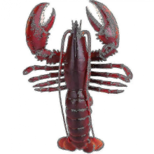 Simulation Soft Plastic Lobster Model Seafood Restaurant Props Decoration Toys Children