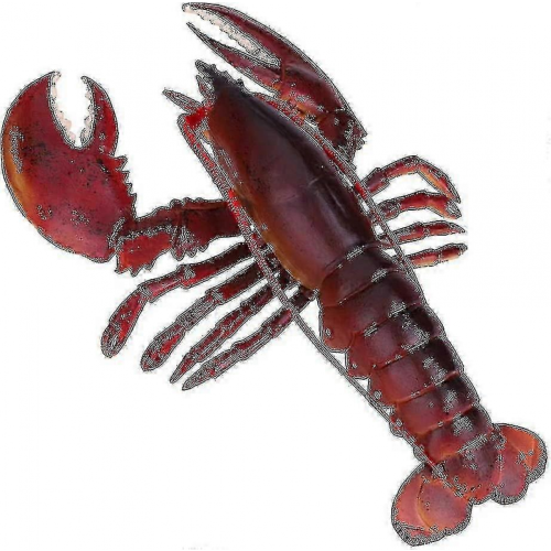 Simulation Soft Plastic Lobster Model Seafood Restaurant Props Decoration Toys Children 2