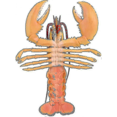 Simulation Soft Plastic Lobster Model Seafood Restaurant Props Decoration Toys Children 1