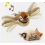 Electronic Interactive Flying Bird Cat Toy Hanging Pet Flapping Wings Sparrow b hk 1