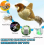 Electronic Interactive Flying Bird Cat Toy Hanging Pet Flapping Wings Sparrow b hk 3