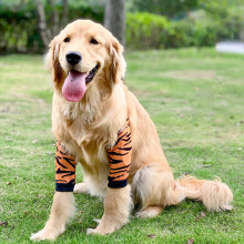 Dog Elbow Protector Sleeve 3XL Soft Padded Breathable for Medium Large Dogs