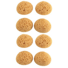 8Pcs Texture Sponge Drywall Texture Sponge Texture Patch Sponge for Texture Repair DIY Painting Ceiling (12 x 9 x 7cm)