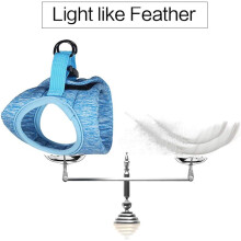 Outdoor Freedom Companion, atmungsaktives Katzengeschirr mit Leine aus Air Mesh, hohe Elastizität und Trockenheitsregulierung, weiches Material für