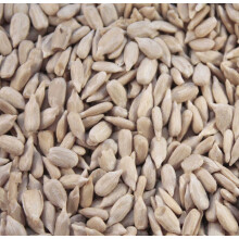 Sunflower Hearts For Wild Birds Feeding - Quality Bakery Grade 12.5 kg
